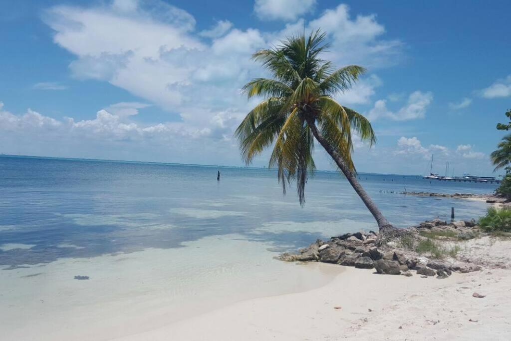 Marysol Private Beach Next To Nomads D5 Isla Mujeres Luaran gambar